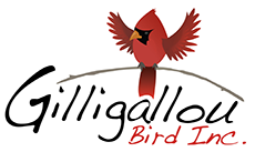 Gilligalou